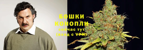 2c-b Корсаков