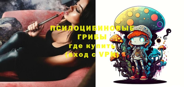 мдпв Красноперекопск