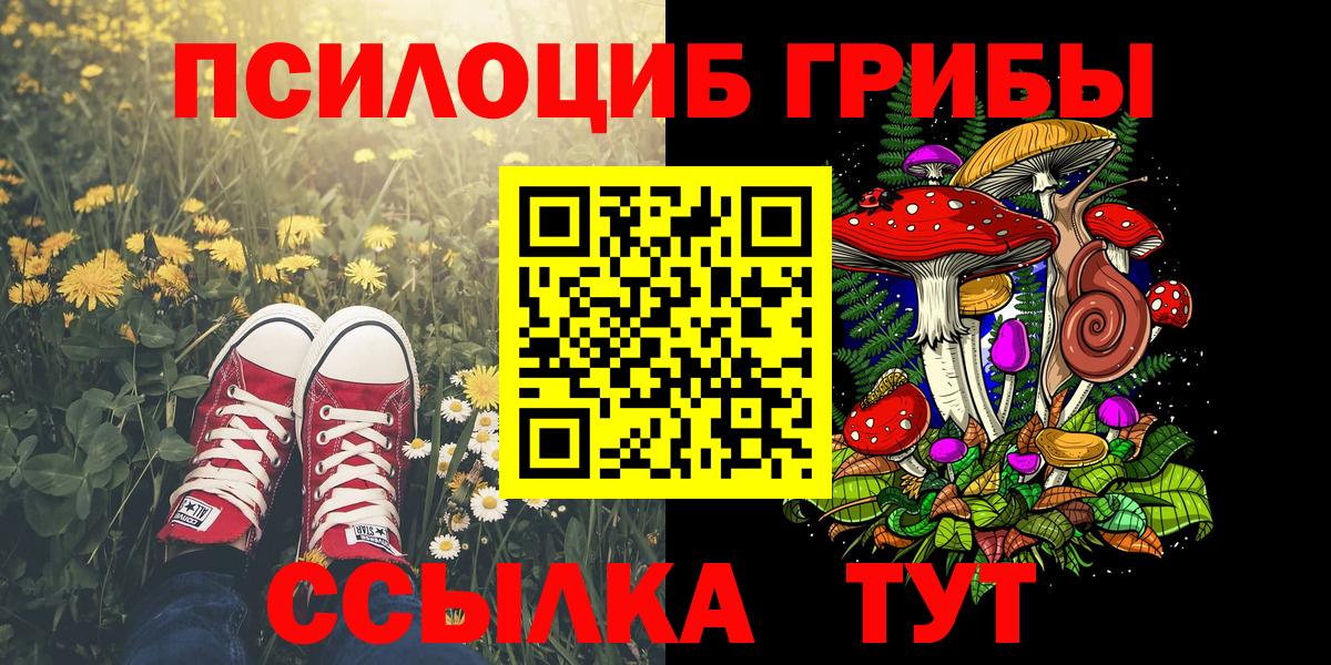 LSD-25 Кропоткин